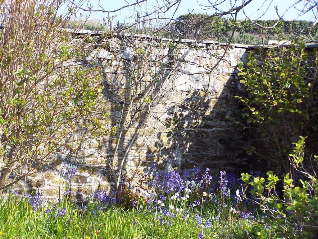 The Old Parsonage Bed & Breakfast Boscastle Ngoại thất bức ảnh