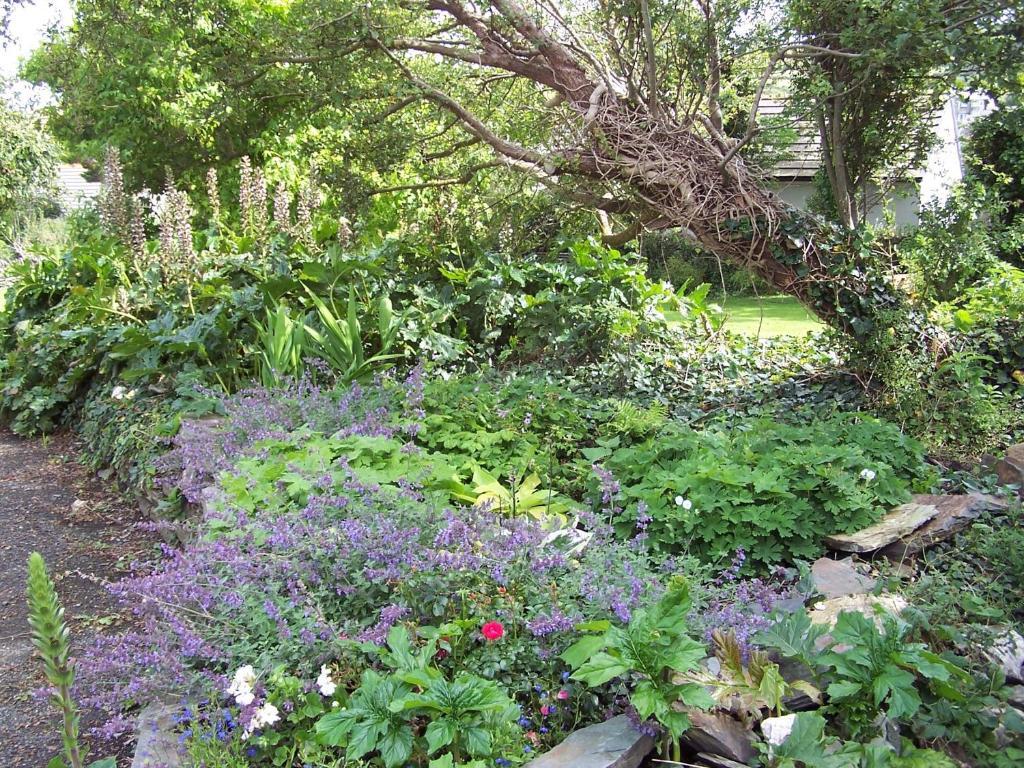 The Old Parsonage Bed & Breakfast Boscastle Ngoại thất bức ảnh
