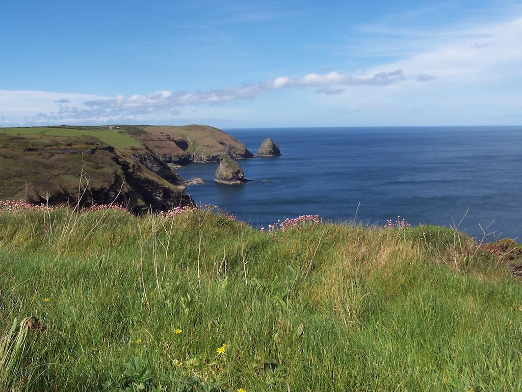 The Old Parsonage Bed & Breakfast Boscastle Ngoại thất bức ảnh