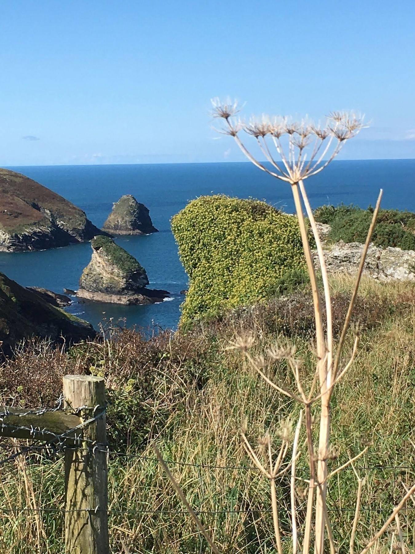The Old Parsonage Bed & Breakfast Boscastle Ngoại thất bức ảnh